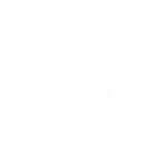 identlab logo